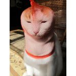 にか
