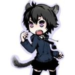 雑種猫