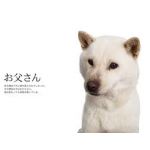 真っ白なお父さん