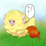 せねsn