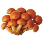 nameko