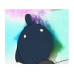 userPhoto