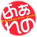 Phalaeno