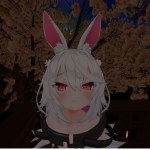 ナナシさん