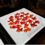 userPhoto