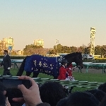 待ってたぜ。