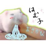 はむ子