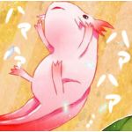 くれは