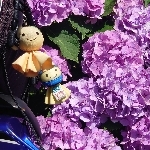 ホクバイ