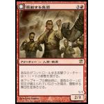 野良坊先輩