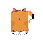 猫目
