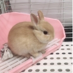 ユーザー画像
