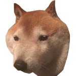 伊良 間知夫