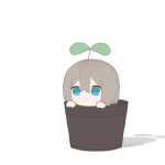 めめ