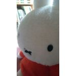 青い毒葡萄