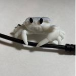 すいは
