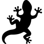 あまとかげ