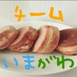 チームいまがわ