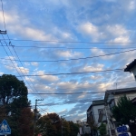 ココココ