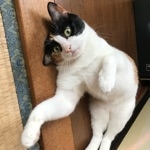 TOS