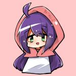 userPhoto