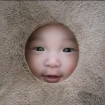うたに