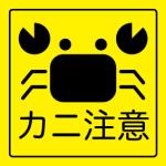 ゴミ溜めの日常