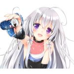 にゃんかま