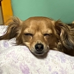 ユーザー画像