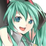 アカ虎