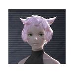 Mirecat