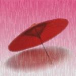 如月 雨紅