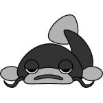 userPhoto