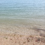 userPhoto