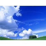 ガキ信