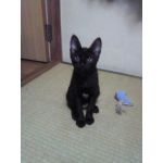 みや