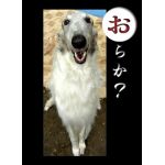 ふぅあ