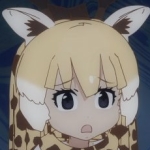 Y.N