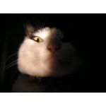 ユーザー画像