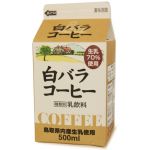 ルーキーさん
