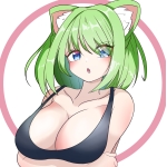猫好き研修猫