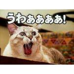 つつ