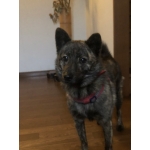 userPhoto
