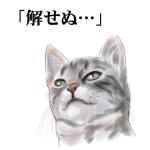 アニまと