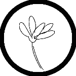 userPhoto