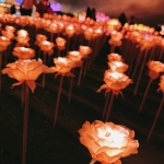 userPhoto