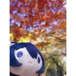 木綿/きぬる