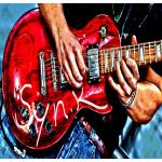 Syn.K