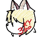 きたやこ300