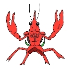 亀タコ